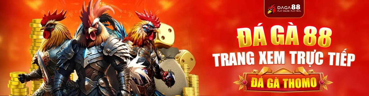 Người dùng tìm kiếm thông tin và nhận hỗ trợ trực tuyến, minh họa phần Câu hỏi thường gặp của mmoo88.
