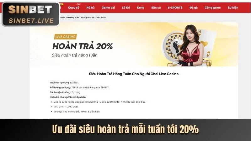 Dealer Trực Tuyến Chuyên Nghiệp